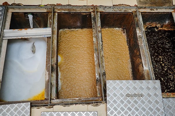 neglecting grease trap maintenance can lead to costly repairs, health code violations, and environmental pollution
